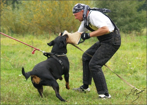 Training in Prague 10/2007